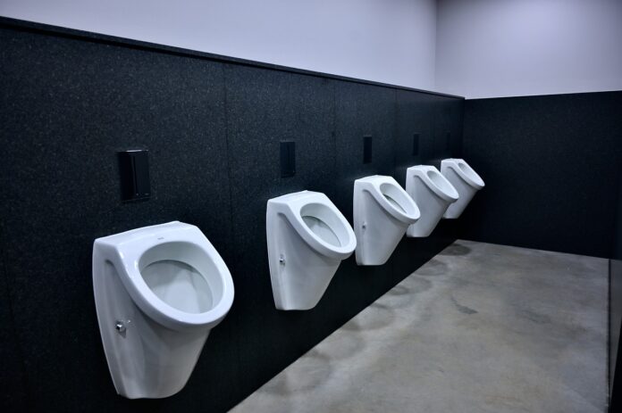 toilet, urinal, pee